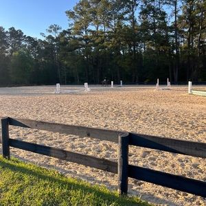 Meet your Posher, Bayla